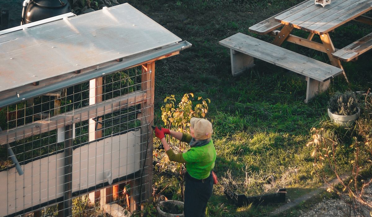 Best Ways to Store Garden Tools in a Small Shed