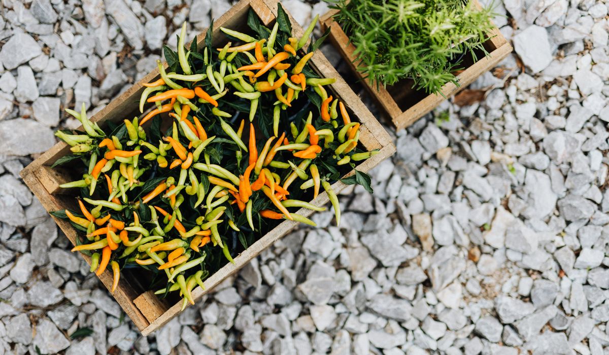 How to Paint a Concrete Patio Without Hiring Help