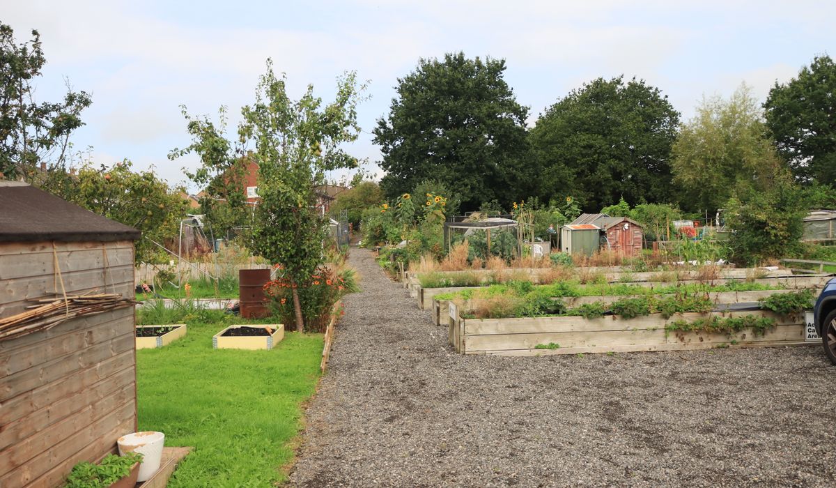 Planting a Low-Maintenance Border for Small Gardens
