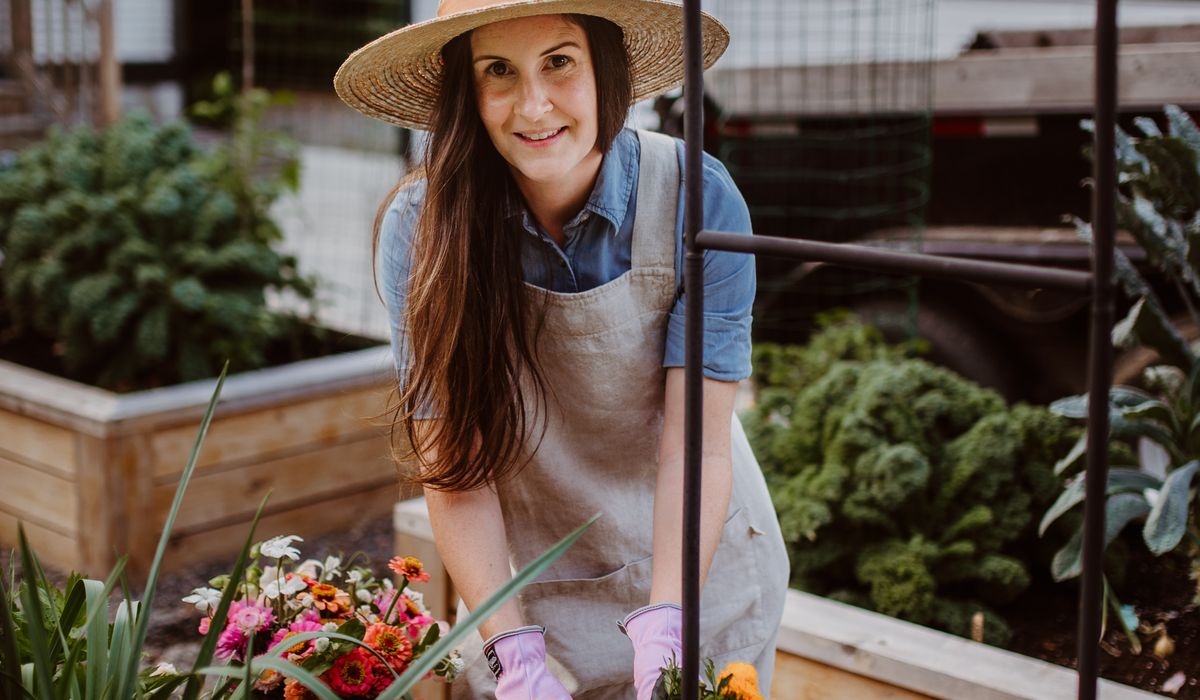 Seasonal Shed Maintenance Jobs for Autumn
